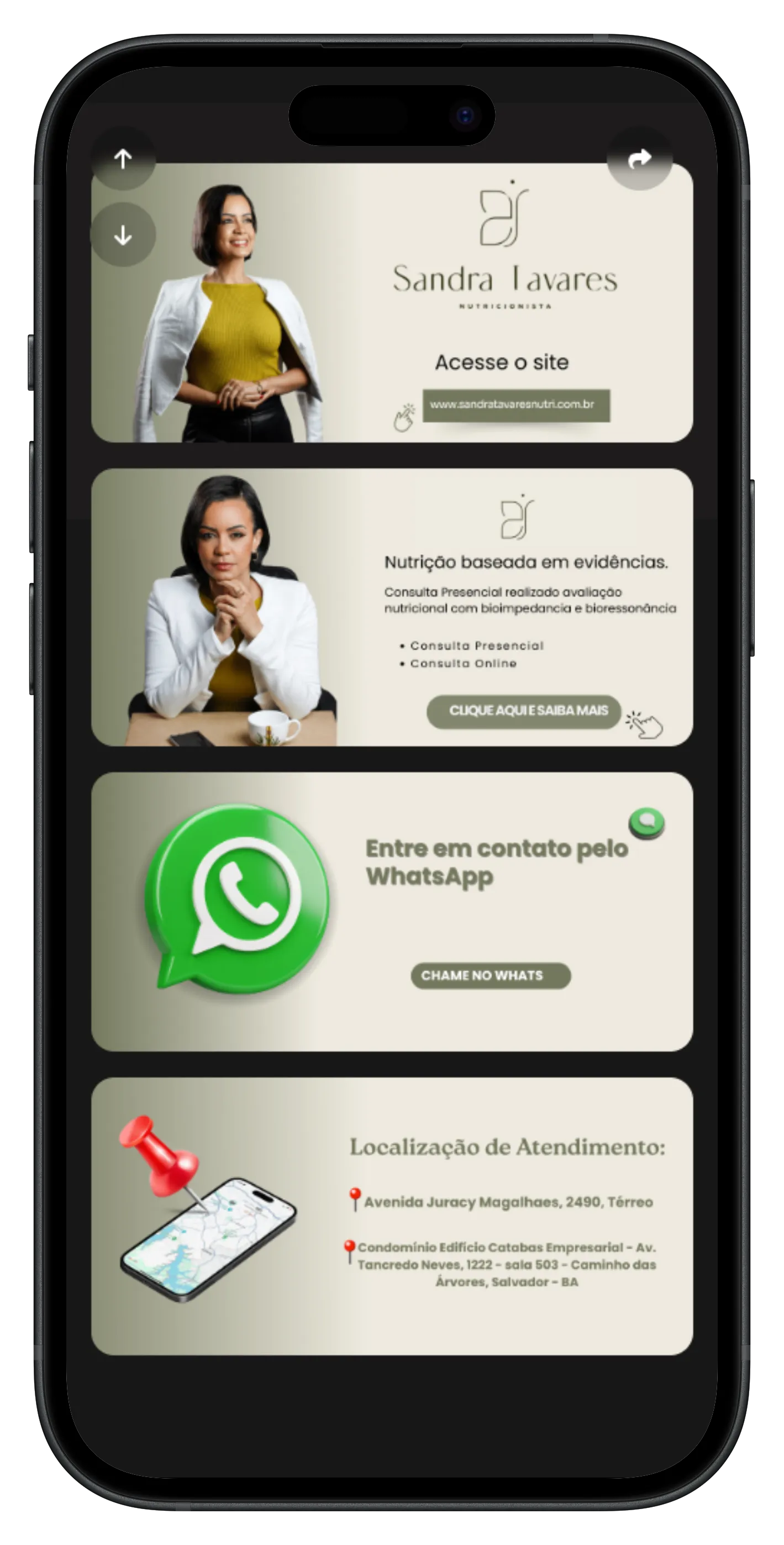 Amostra de BioLink — tema elegante